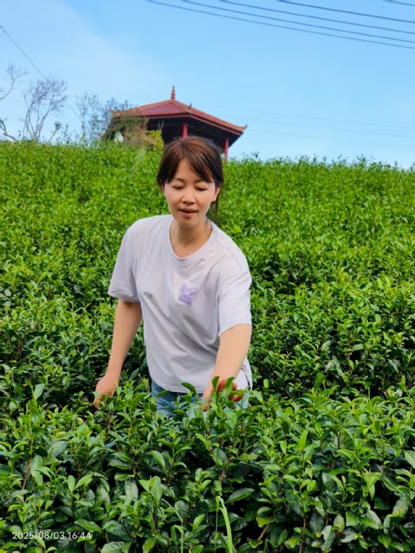 Q绮芳的第一张照片--上杭征婚网